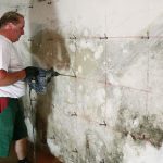 Die Ursache für die aufsteigende Feuchtigkeit lag im Keller - typisch für ein Haus dieser Zeit und Bauart.