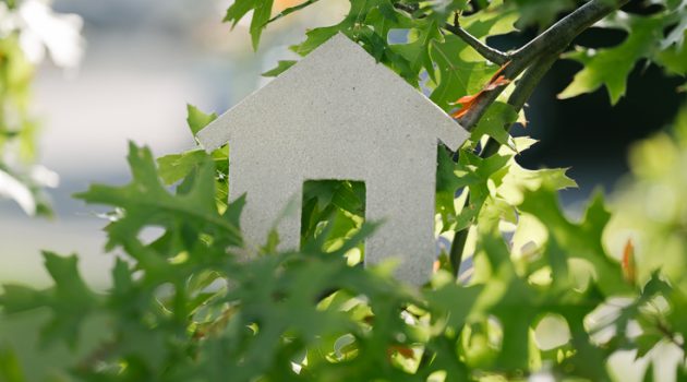 Neue BSF-Fachregel für Wärmedämm-Verbundsysteme veröffentlicht